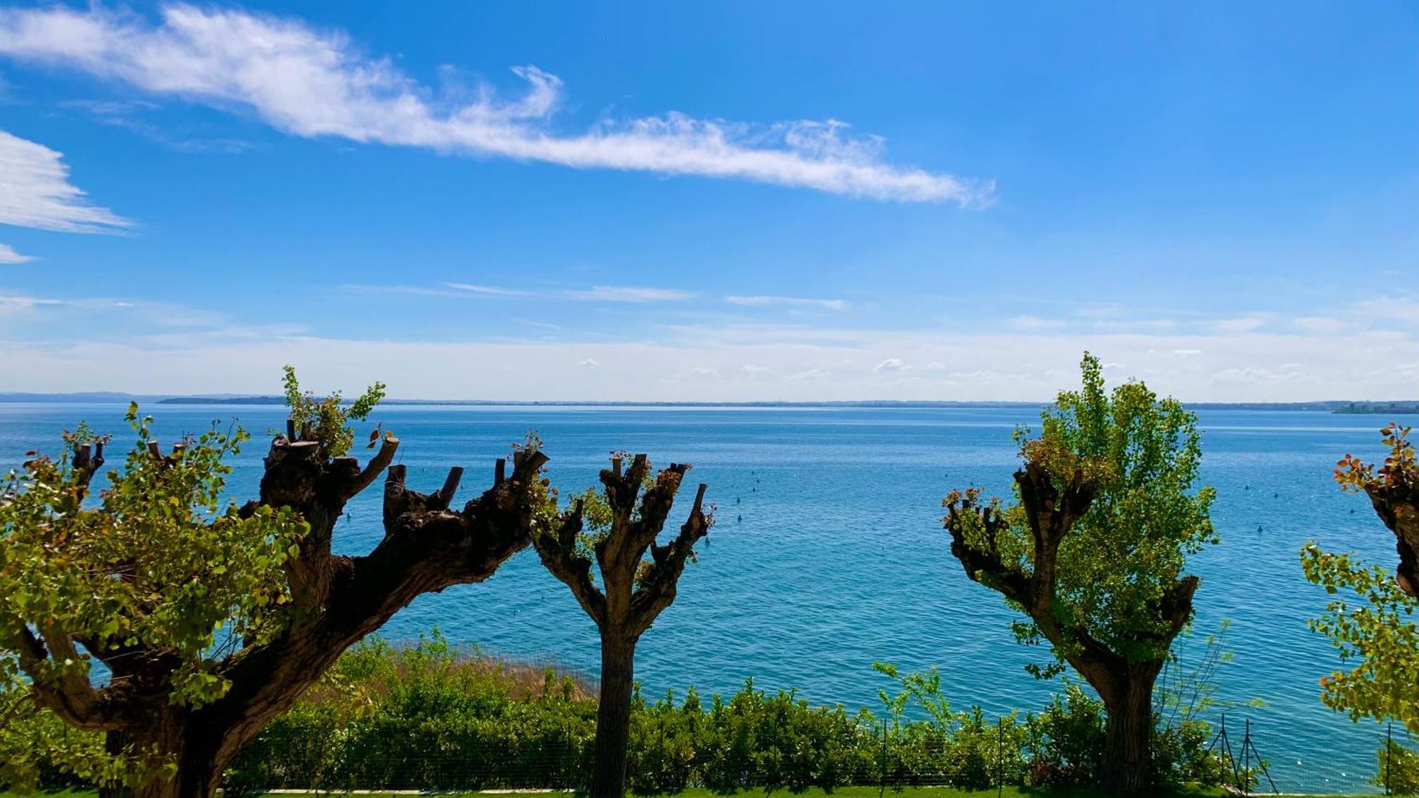 Campeggio Della Colombaia Padenghe sul Garda Exteriér fotografie
