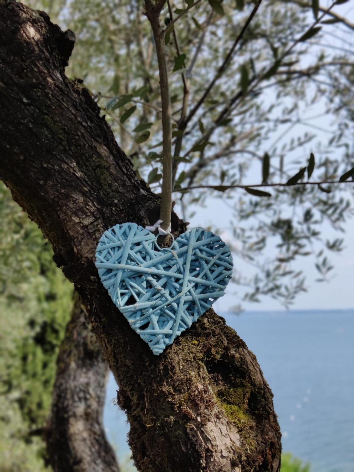 Campeggio Della Colombaia Padenghe sul Garda Exteriér fotografie