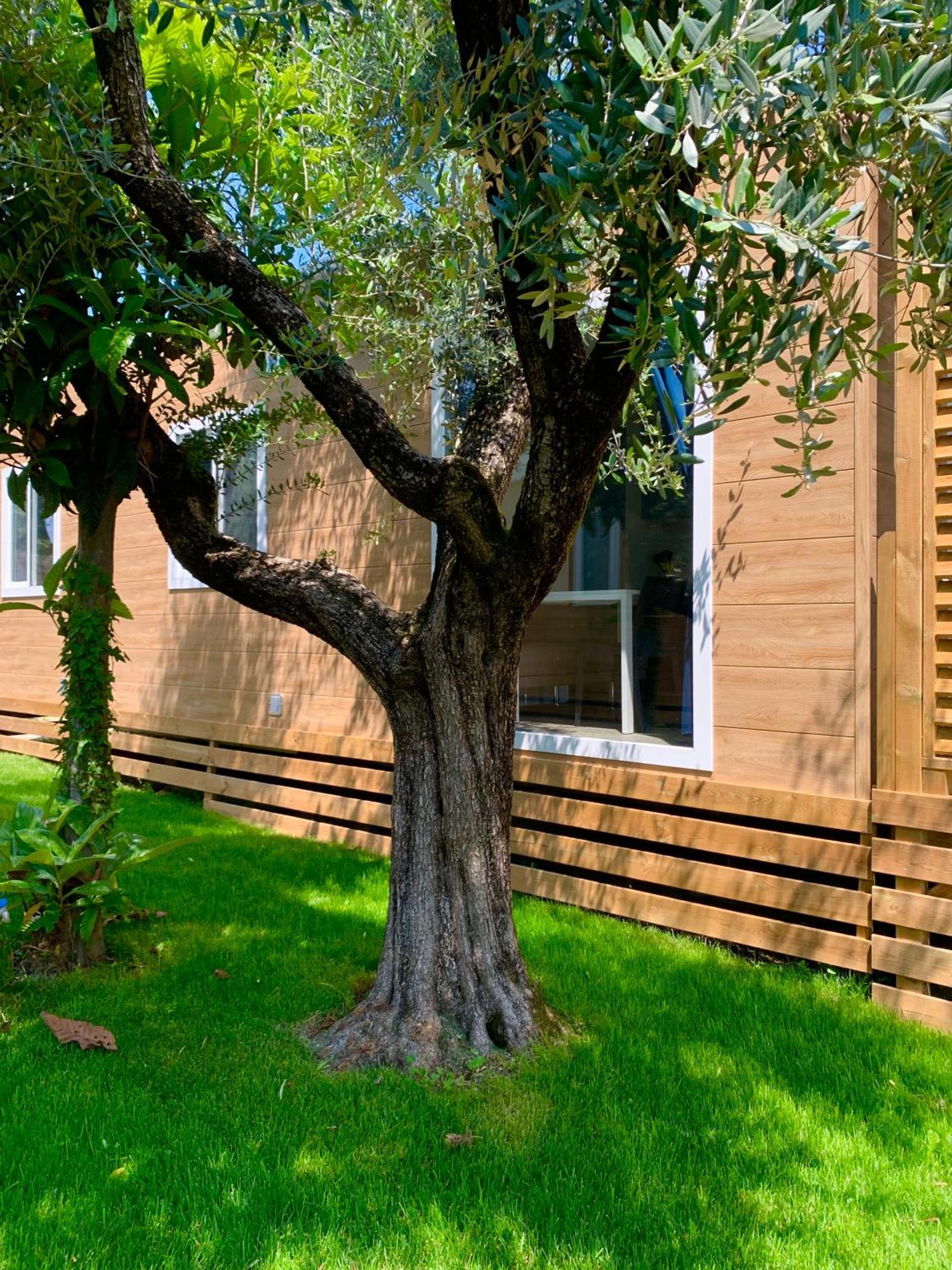 Campeggio Della Colombaia Padenghe sul Garda Exteriér fotografie